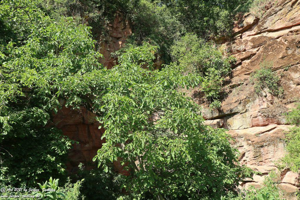 Philosophische Bildwanderung Vitaltour Eremitenpfad - Bretzenheim an der Nahe - Rheinhessen
