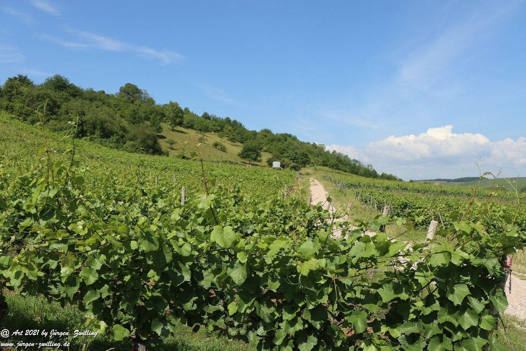 Philosophische Bildwanderung Vitaltour Eremitenpfad - Bretzenheim an der Nahe - Rheinhessen