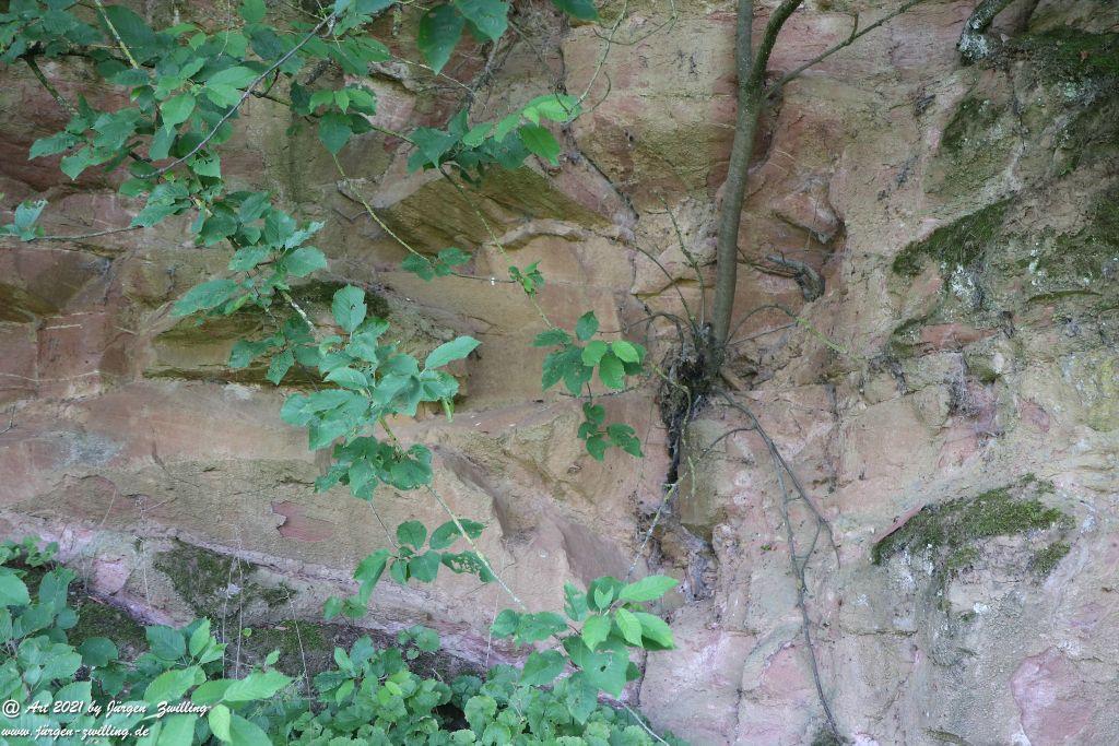 Philosophische Bildwanderung Vitaltour Eremitenpfad - Bretzenheim an der Nahe - Rheinhessen