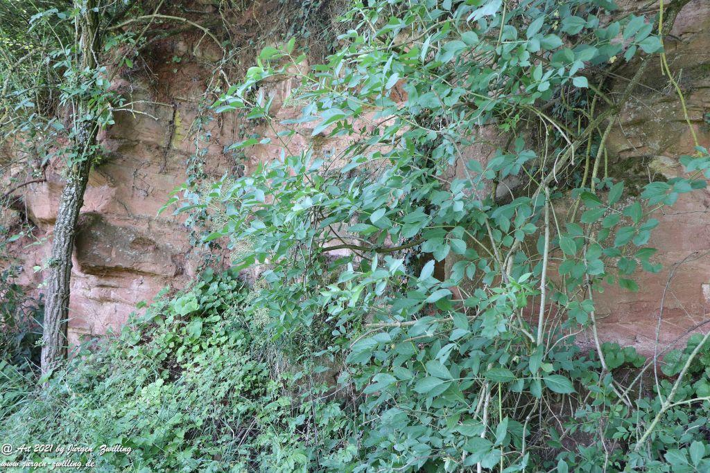 Philosophische Bildwanderung Vitaltour Eremitenpfad - Bretzenheim an der Nahe - Rheinhessen