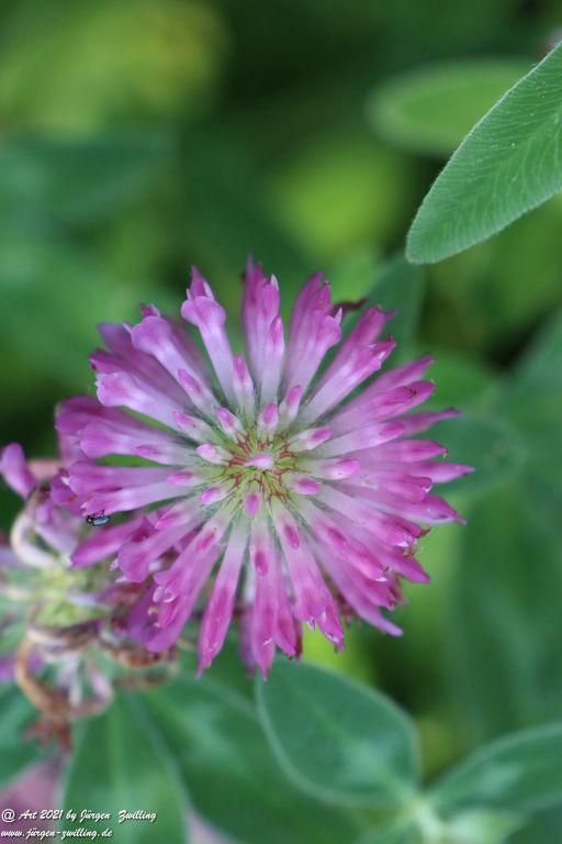 Philosophische Bildwanderung Vitaltour Eremitenpfad - Bretzenheim an der Nahe - Rheinhessen