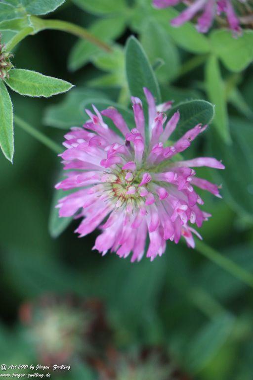 Philosophische Bildwanderung Vitaltour Eremitenpfad - Bretzenheim an der Nahe - Rheinhessen