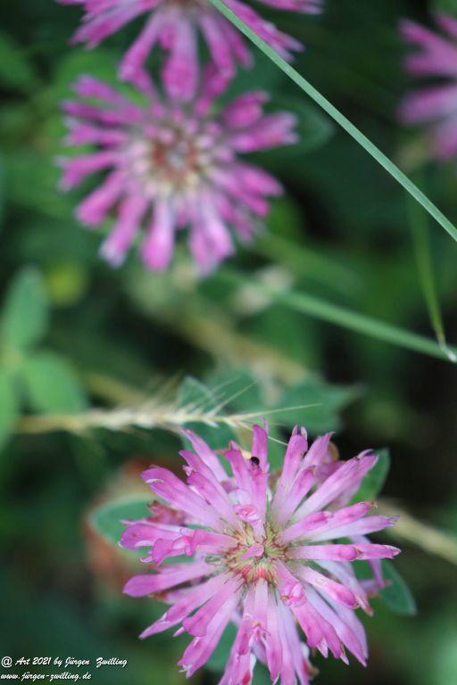 Philosophische Bildwanderung Vitaltour Eremitenpfad - Bretzenheim an der Nahe - Rheinhessen