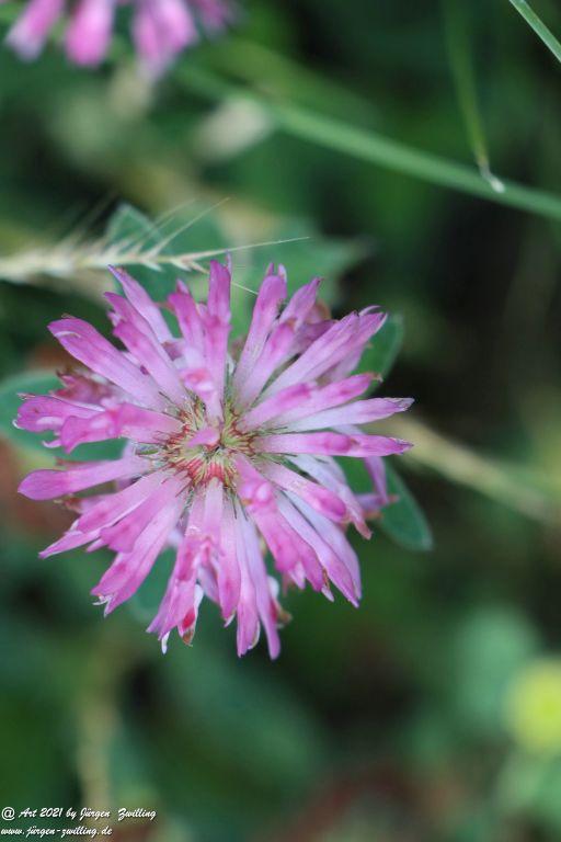 Philosophische Bildwanderung Vitaltour Eremitenpfad - Bretzenheim an der Nahe - Rheinhessen