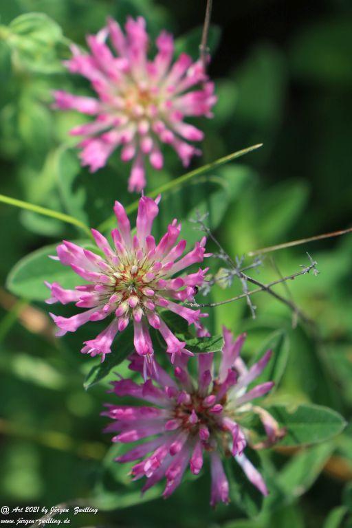 Philosophische Bildwanderung Vitaltour Eremitenpfad - Bretzenheim an der Nahe - Rheinhessen