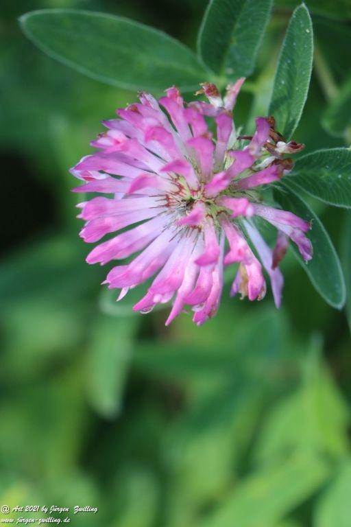 Philosophische Bildwanderung Vitaltour Eremitenpfad - Bretzenheim an der Nahe - Rheinhessen