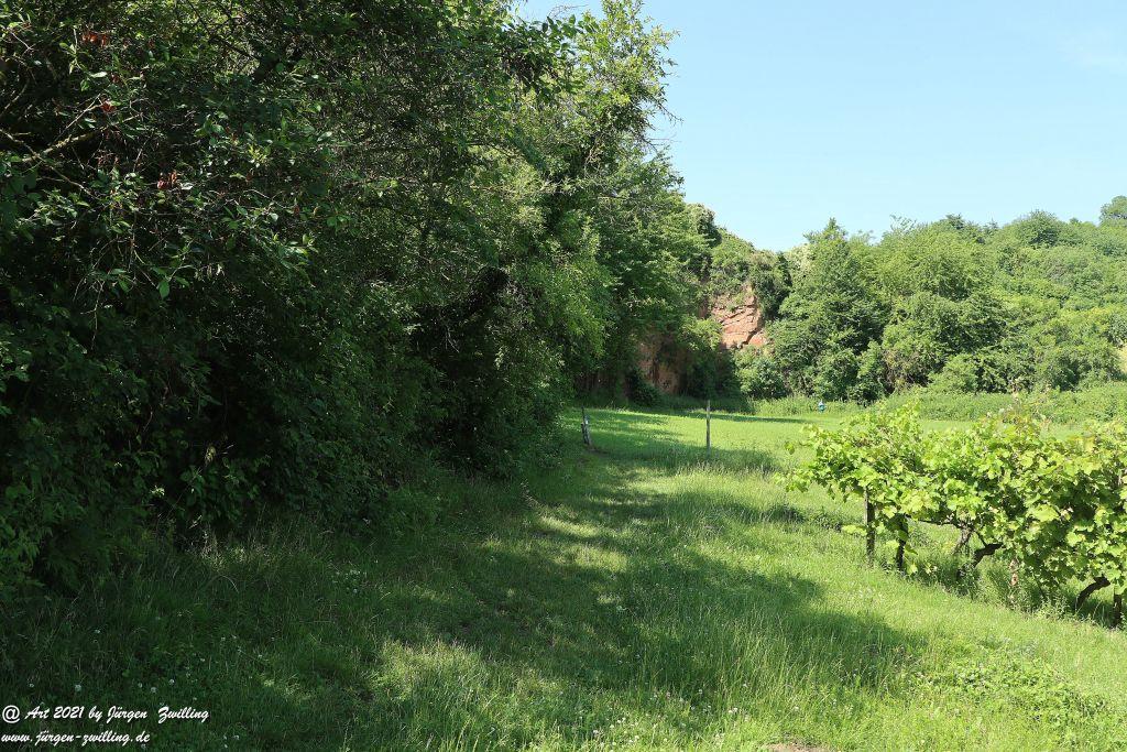 Philosophische Bildwanderung Vitaltour Eremitenpfad - Bretzenheim an der Nahe - Rheinhessen