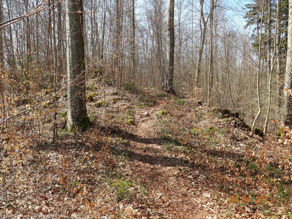 Philosophische Bildwanderung Traufgang-Schlossfelsenpfad