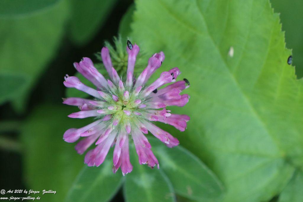 Philosophische Bildwanderung Vitaltour Eremitenpfad - Bretzenheim an der Nahe - Rheinhessen