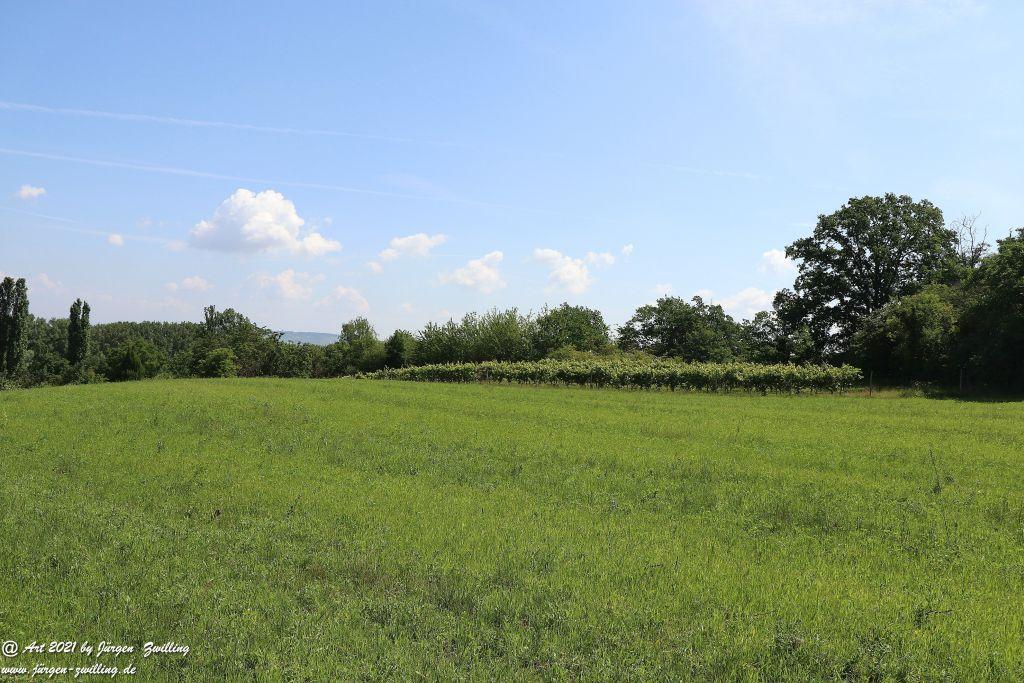 Philosophische Bildwanderung Vitaltour Eremitenpfad - Bretzenheim an der Nahe - Rheinhessen