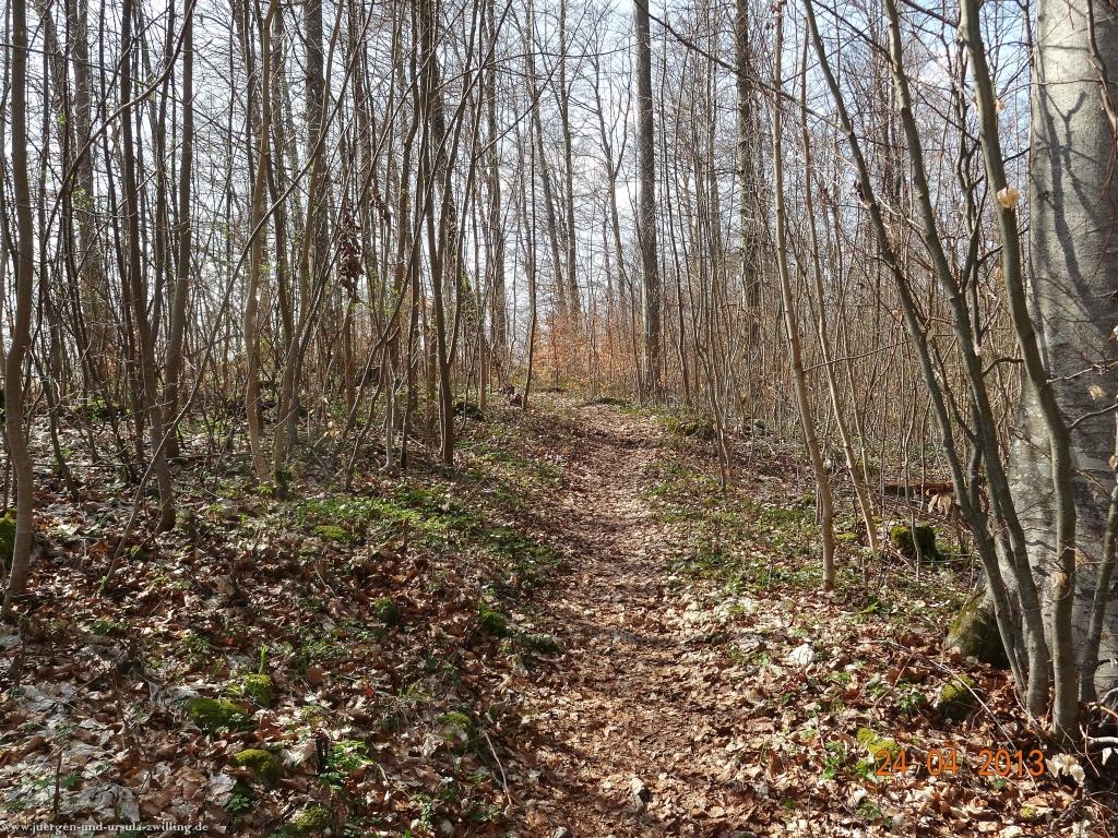 Philosophische Bildwanderung Traufgang-Schlossfelsenpfad