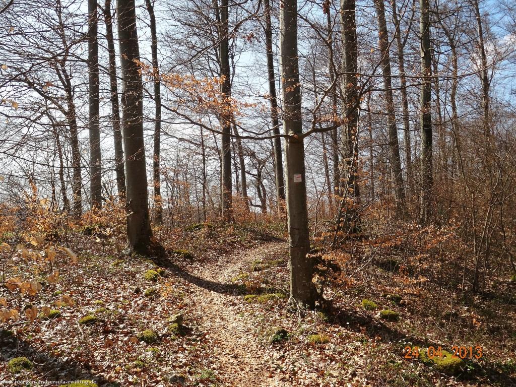 Philosophische Bildwanderung Traufgang-Schlossfelsenpfad