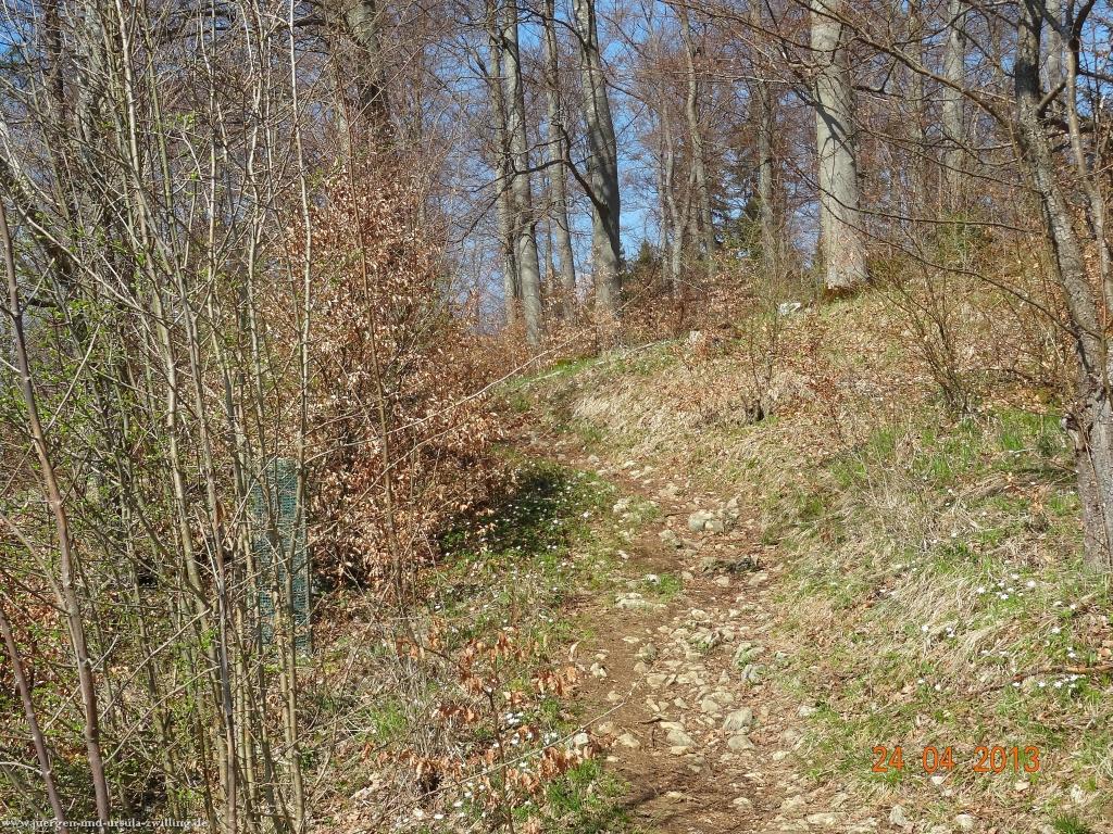 Philosophische Bildwanderung Traufgang-Schlossfelsenpfad