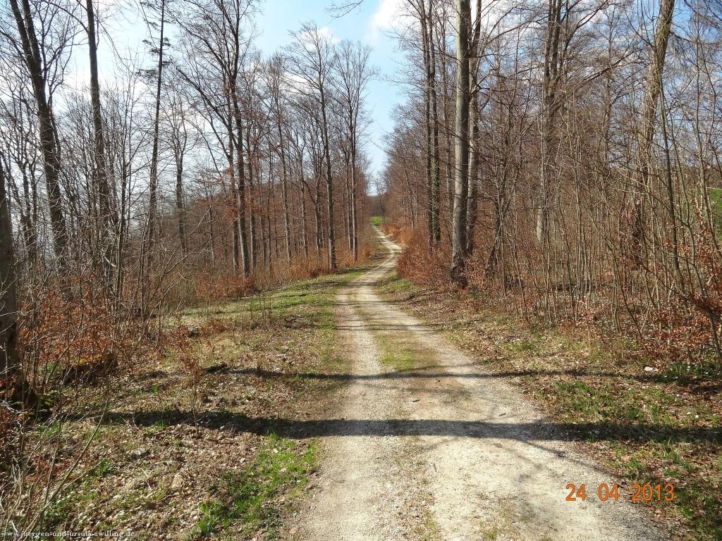 Philosophische Bildwanderung Traufgang-Schlossfelsenpfad