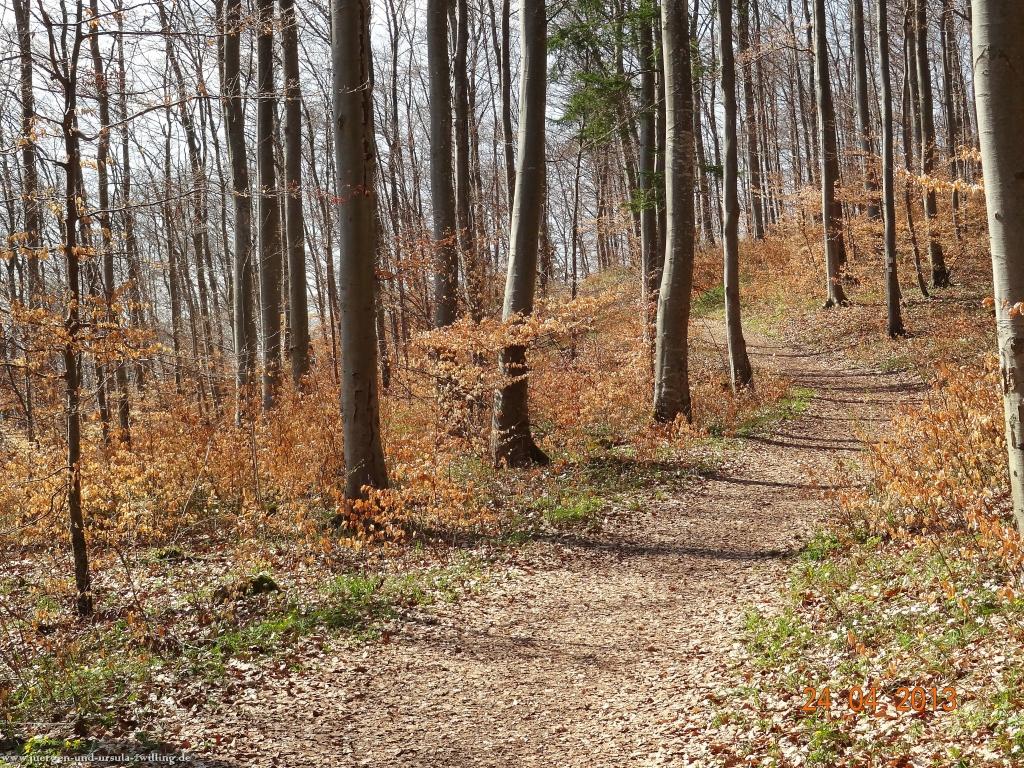 Philosophische Bildwanderung Traufgang-Schlossfelsenpfad
