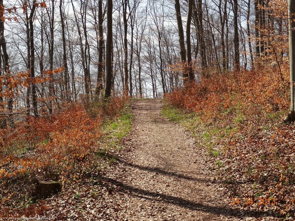 Philosophische Bildwanderung Traufgang-Schlossfelsenpfad