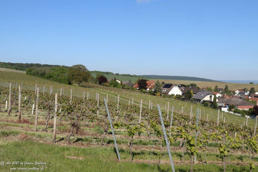 Hackenheim - Rheinhessen