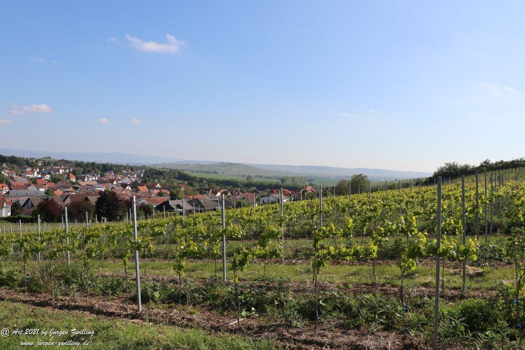 Hackenheim - Rheinhessen