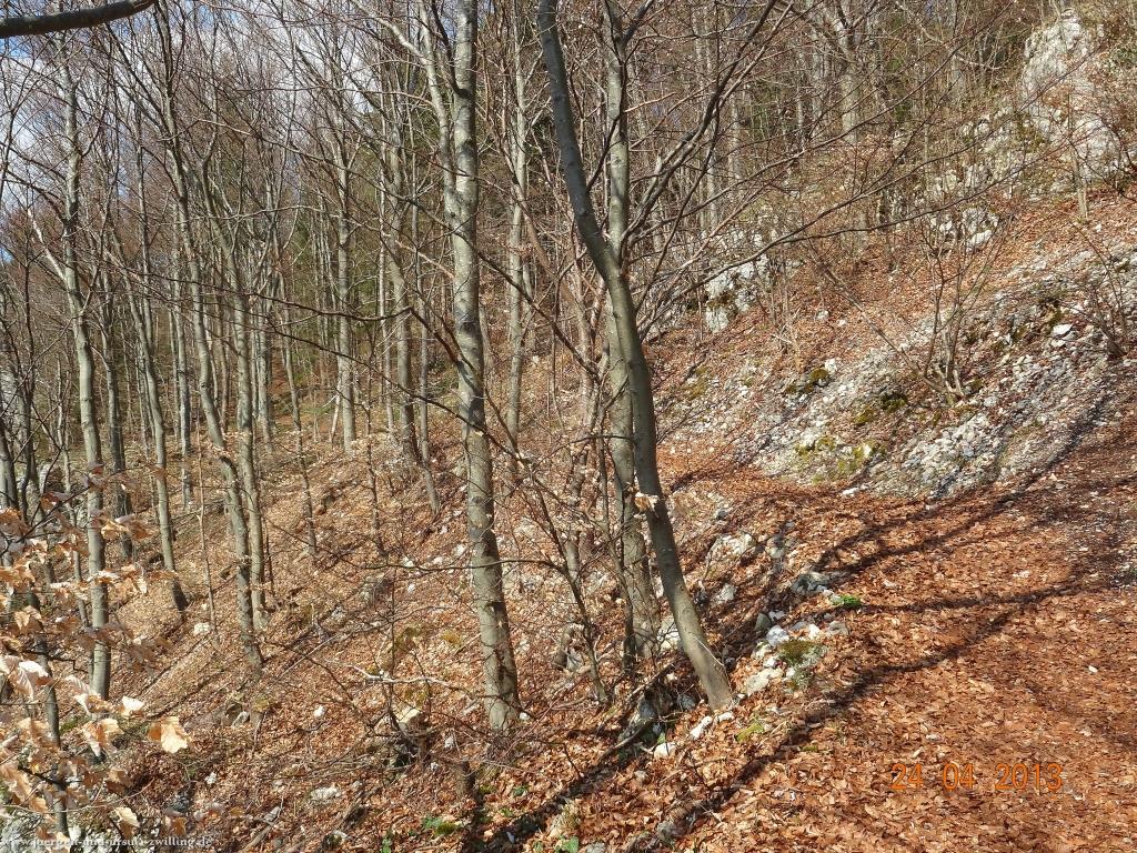 Philosophische Bildwanderung Traufgang-Schlossfelsenpfad