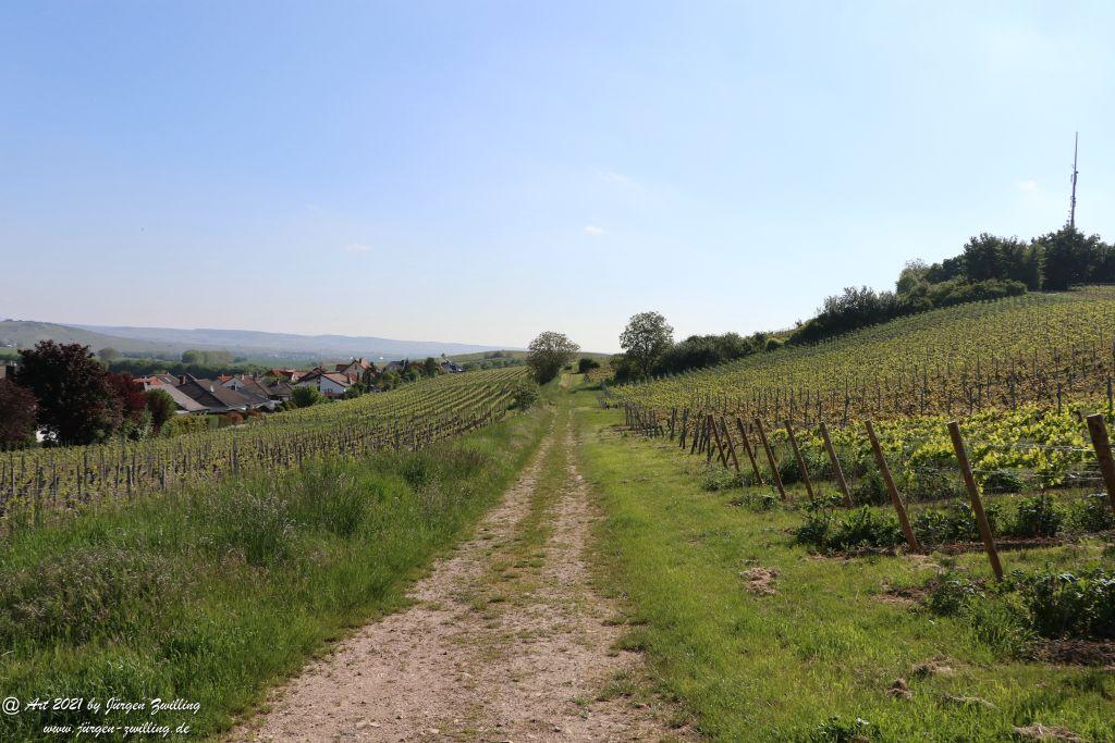 Hackenheim - Rheinhessen