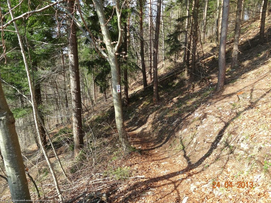 Philosophische Bildwanderung Traufgang-Schlossfelsenpfad