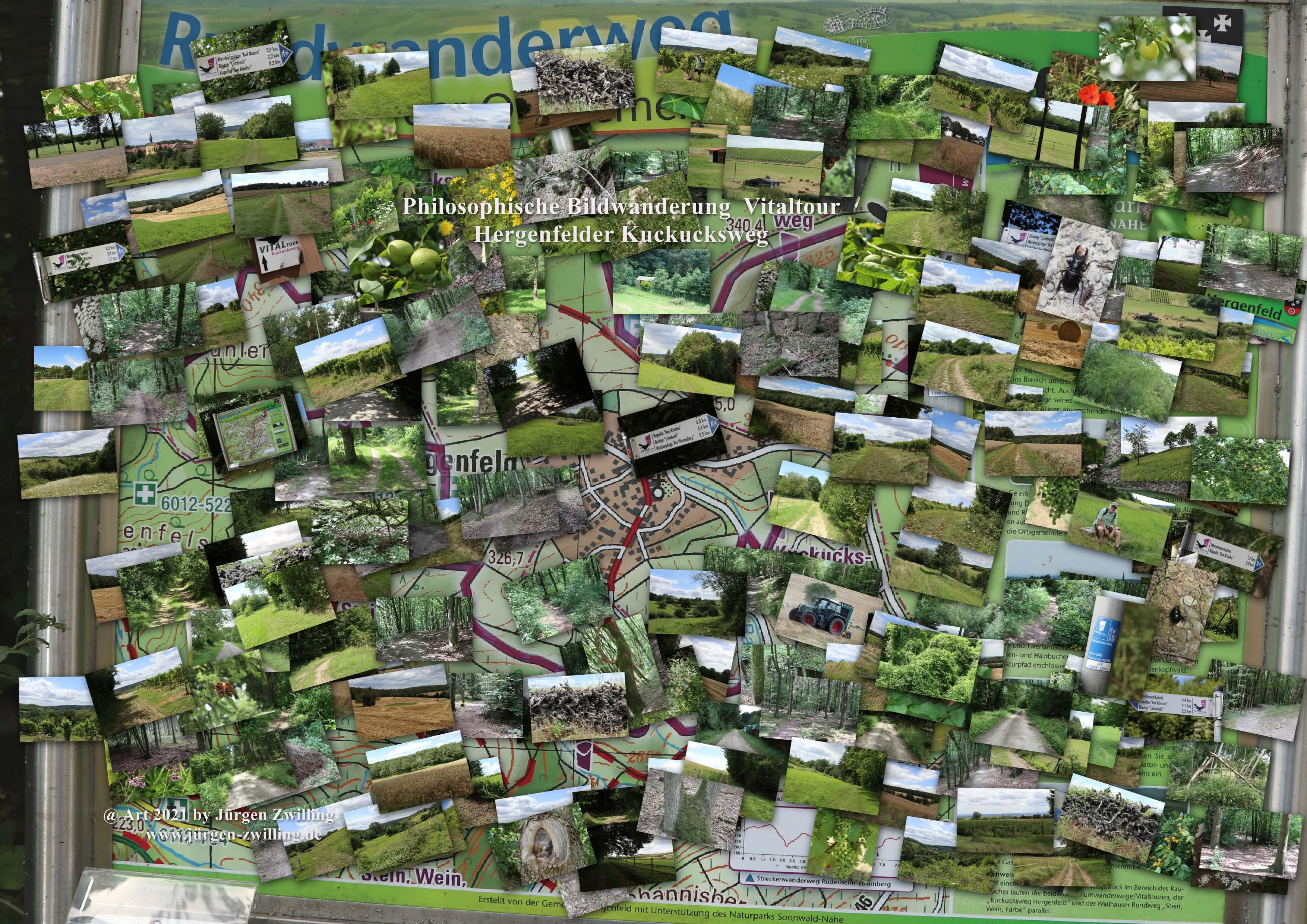 Philosophische Bildwanderung Vitaltour Hergenfelder Kuckucksweg - Hergenfeld - Rheinhessen