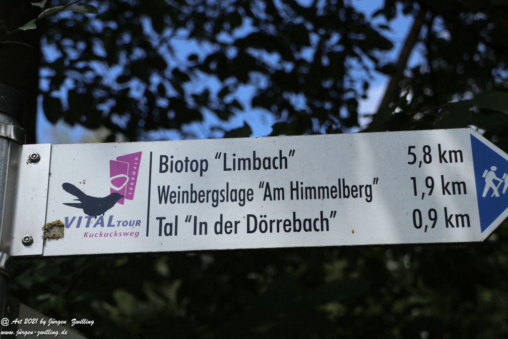 Philosophische Bildwanderung Vitaltour Hergenfelder Kuckucksweg - Hergenfeld - Rheinhessen