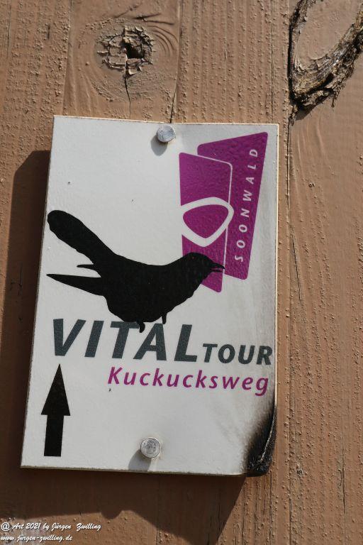 Philosophische Bildwanderung  Vitaltour Hergenfelder Kuckucksweg - Hergenfeld - Rheinhessen
