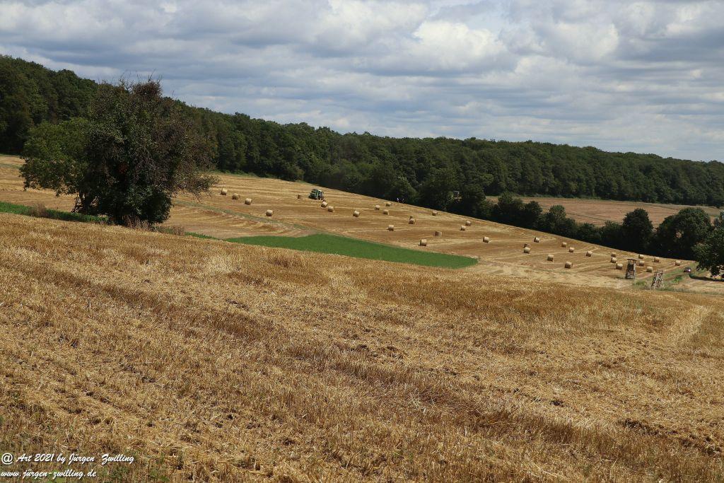 Philosophische Bildwanderung  Vitaltour Hergenfelder Kuckucksweg - Hergenfeld - Rheinhessen