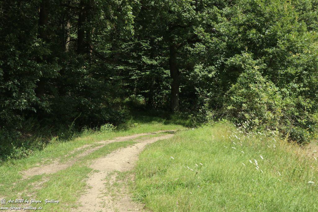 Philosophische Bildwanderung Vitaltour Hergenfelder Kuckucksweg - Hergenfeld - Rheinhessen