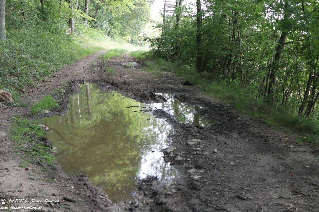 Philosophische Bildwanderung Vitaltour Hergenfelder Kuckucksweg - Hergenfeld - Rheinhessen