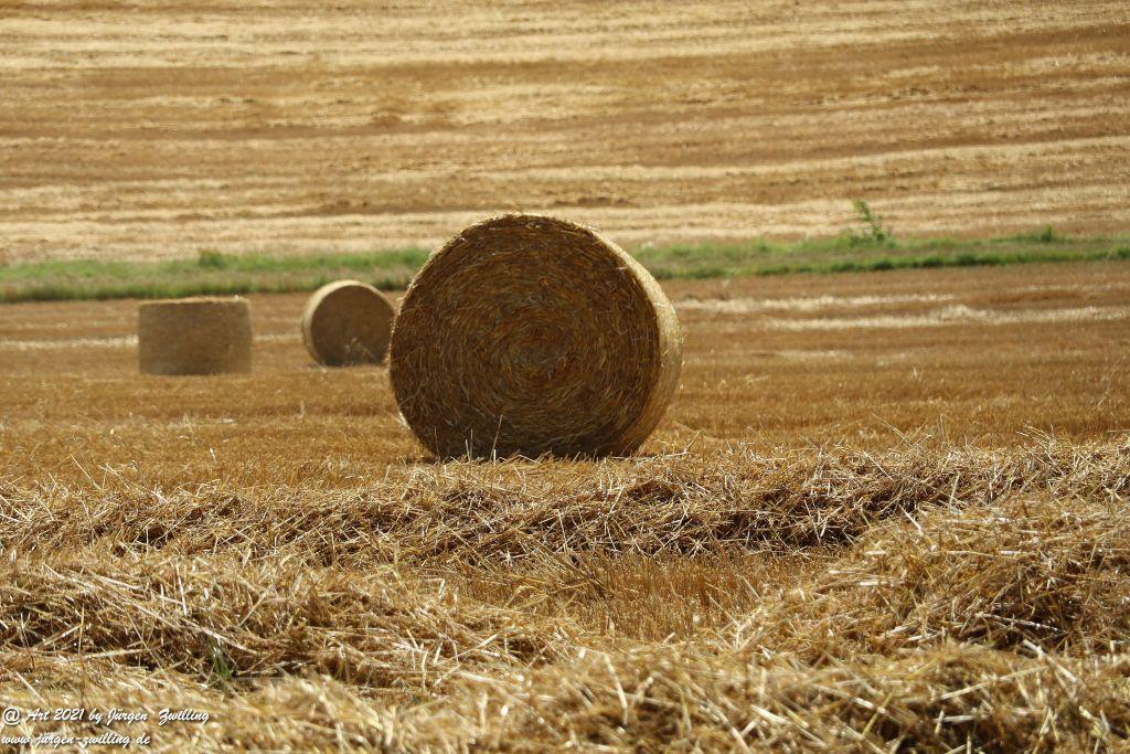 Philosophische Bildwanderung Vitaltour Hergenfelder Kuckucksweg - Hergenfeld - Rheinhessen