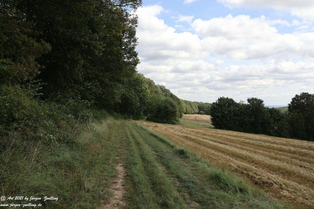 Philosophische Bildwanderung Vitaltour Hergenfelder Kuckucksweg - Hergenfeld - Rheinhessen