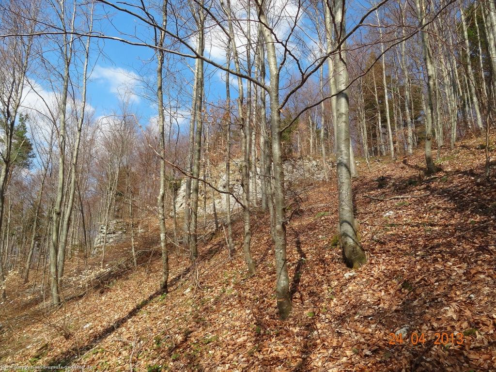 Philosophische Bildwanderung Traufgang-Schlossfelsenpfad