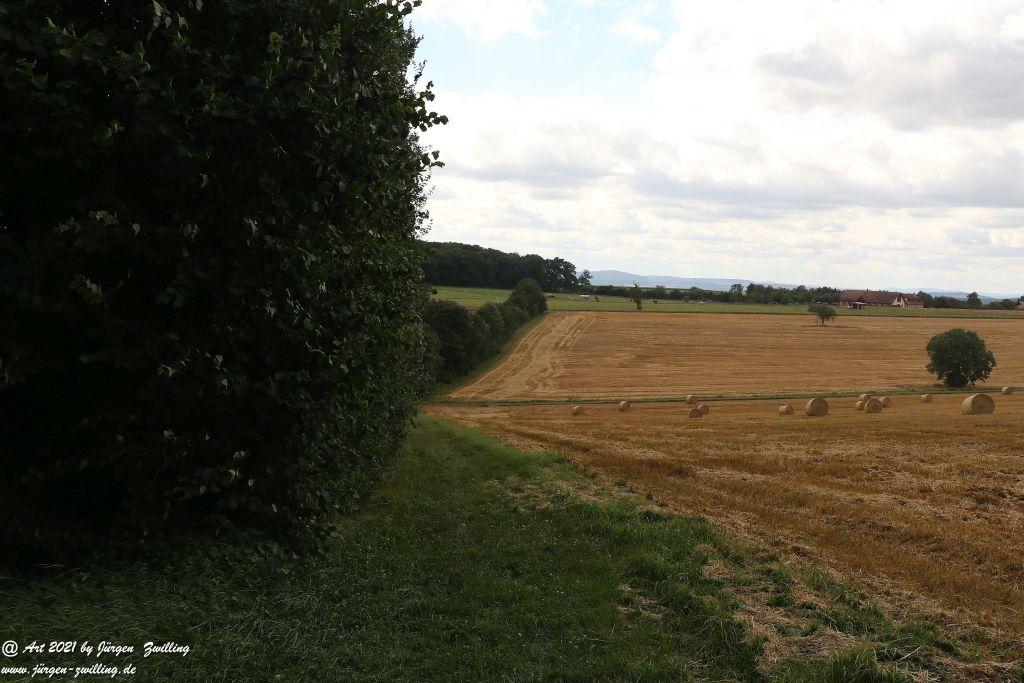 Philosophische Bildwanderung Vitaltour Hergenfelder Kuckucksweg - Hergenfeld - Rheinhessen