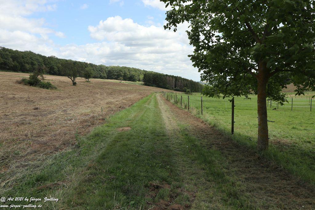 Philosophische Bildwanderung  Vitaltour Hergenfelder Kuckucksweg - Hergenfeld - Rheinhessen