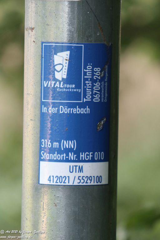 Philosophische Bildwanderung  Vitaltour Hergenfelder Kuckucksweg - Hergenfeld - Rheinhessen