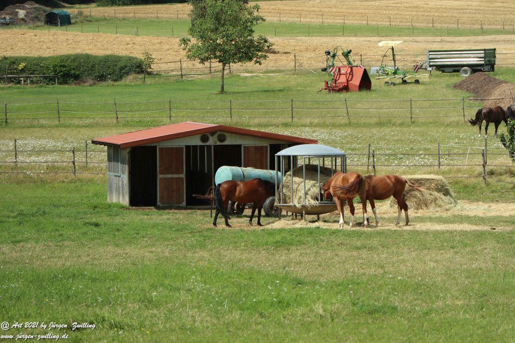 Philosophische Bildwanderung Vitaltour Hergenfelder Kuckucksweg - Hergenfeld - Rheinhessen