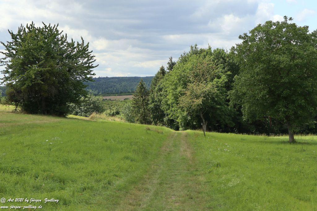 Philosophische Bildwanderung Vitaltour Hergenfelder Kuckucksweg - Hergenfeld - Rheinhessen