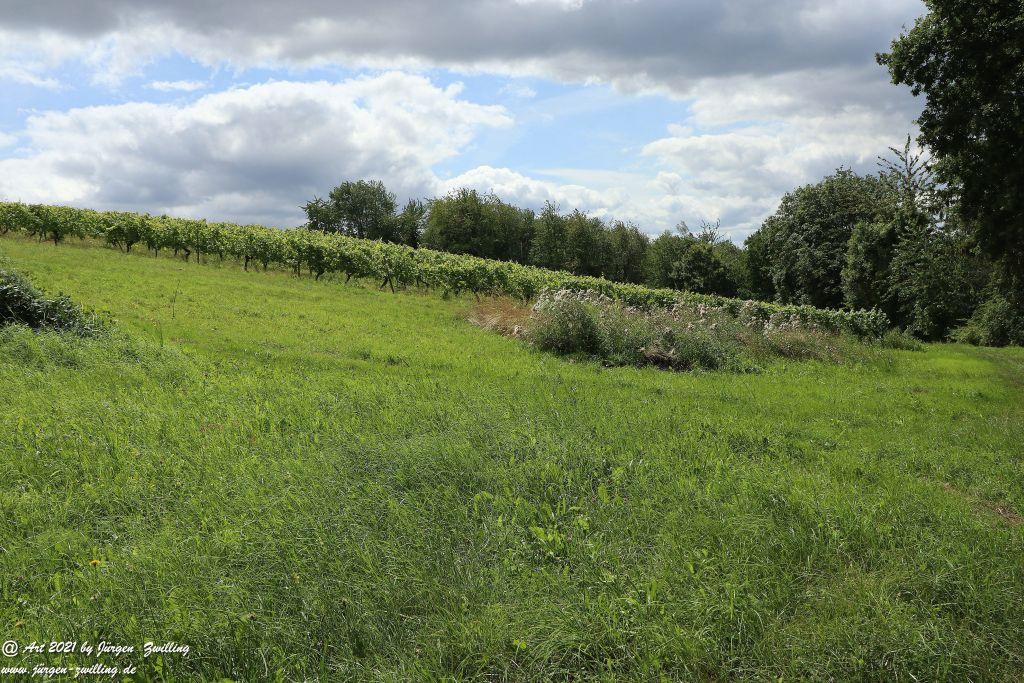Philosophische Bildwanderung Vitaltour Hergenfelder Kuckucksweg - Hergenfeld - Rheinhessen