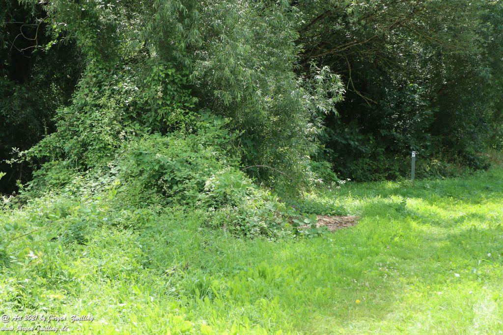 Philosophische Bildwanderung Vitaltour Hergenfelder Kuckucksweg - Hergenfeld - Rheinhessen