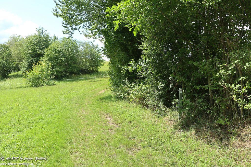 Philosophische Bildwanderung Vitaltour Hergenfelder Kuckucksweg - Hergenfeld - Rheinhessen