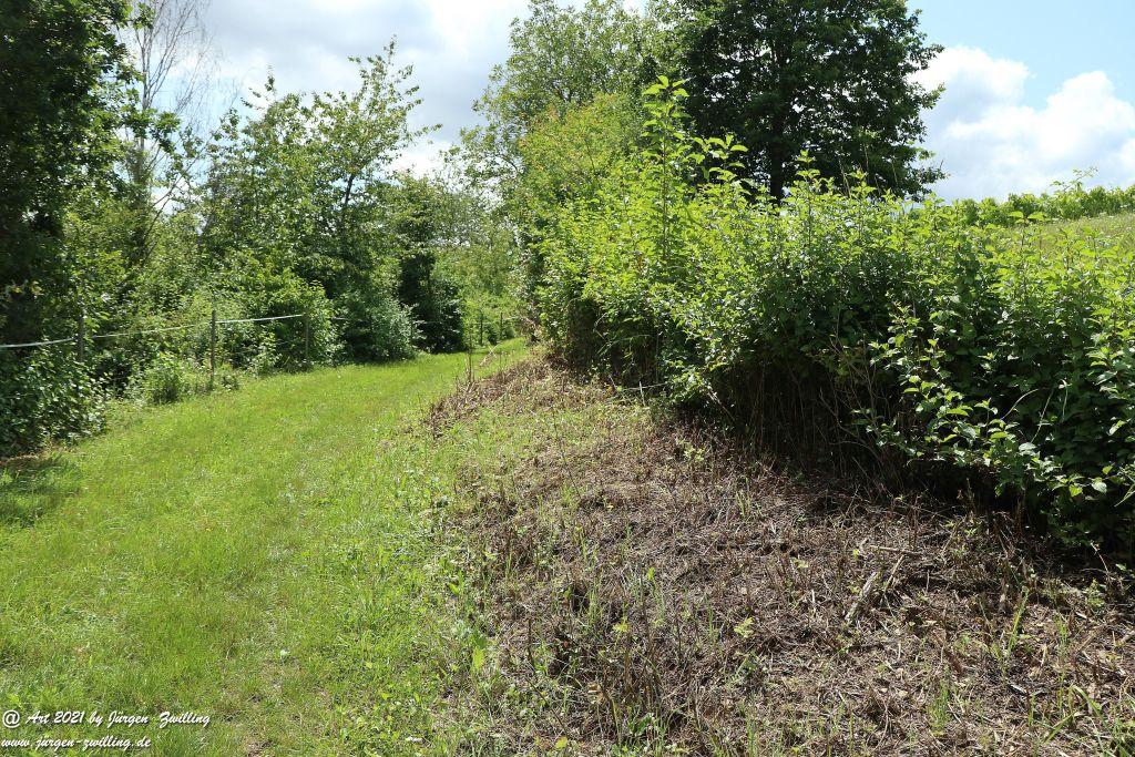 Philosophische Bildwanderung Vitaltour Hergenfelder Kuckucksweg - Hergenfeld - Rheinhessen