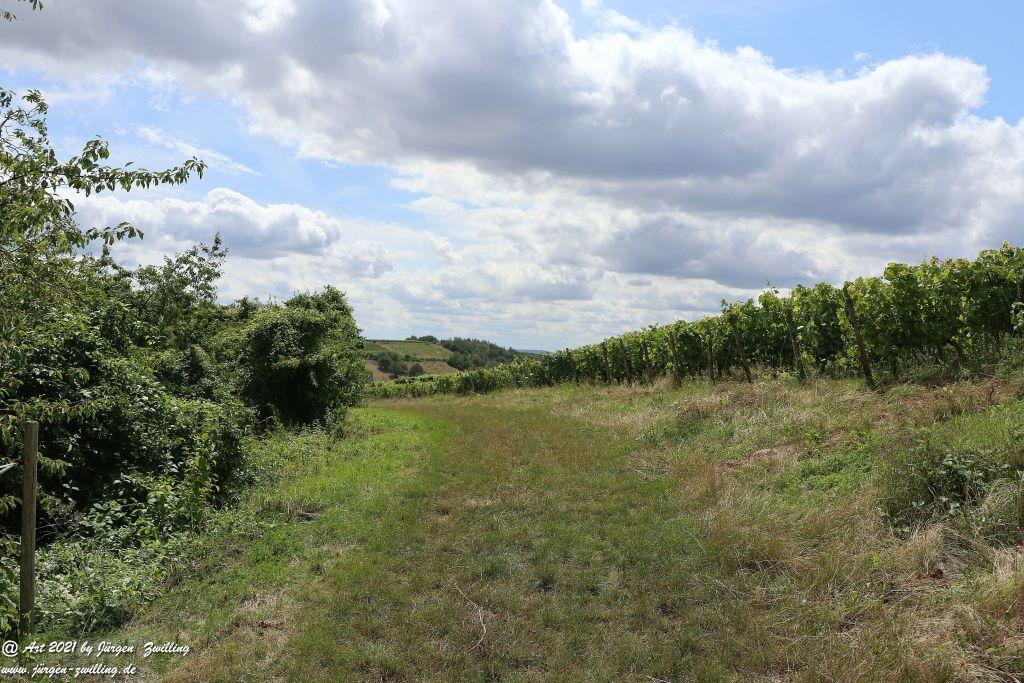Philosophische Bildwanderung Vitaltour Hergenfelder Kuckucksweg - Hergenfeld - Rheinhessen