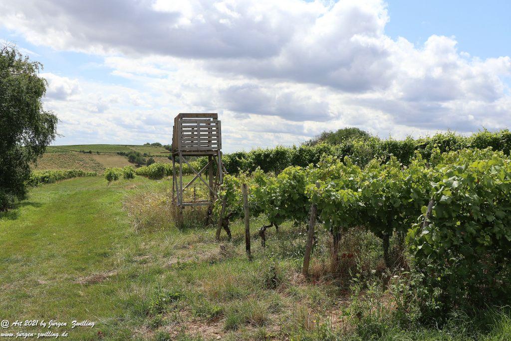 Philosophische Bildwanderung Vitaltour Hergenfelder Kuckucksweg - Hergenfeld - Rheinhessen