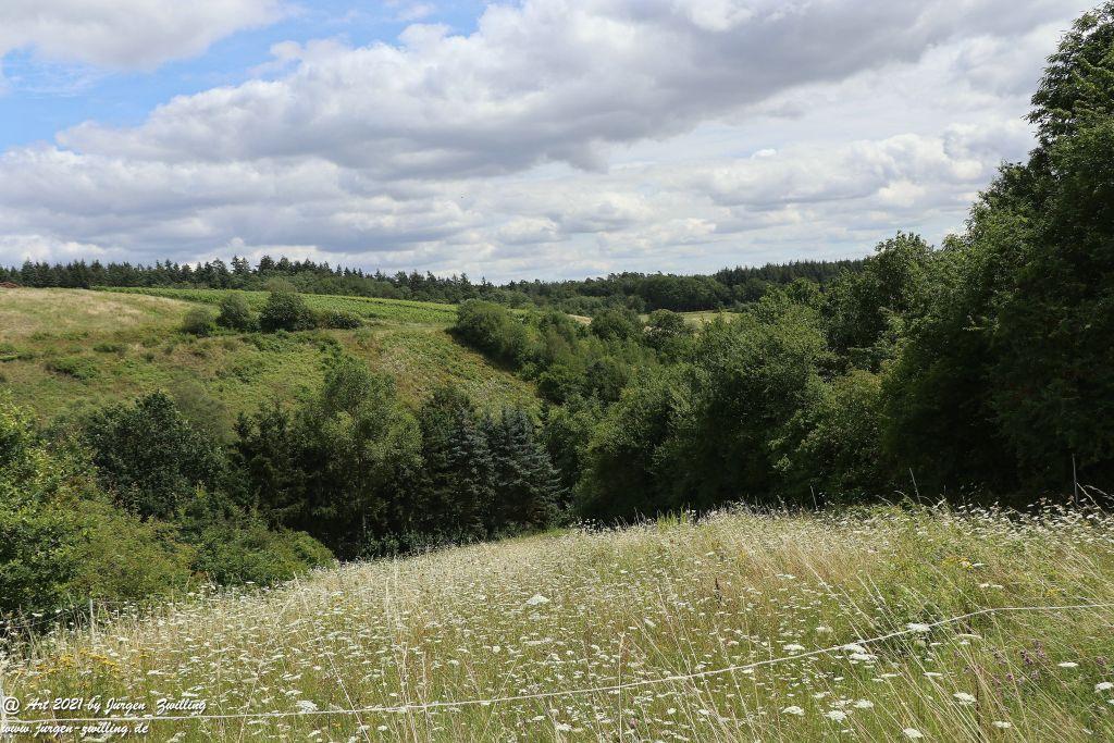 Philosophische Bildwanderung  Vitaltour Hergenfelder Kuckucksweg - Hergenfeld - Rheinhessen