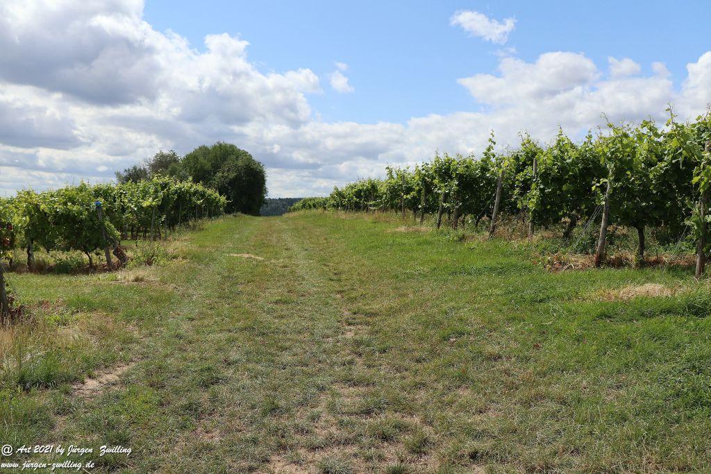 Philosophische Bildwanderung Vitaltour Hergenfelder Kuckucksweg - Hergenfeld - Rheinhessen