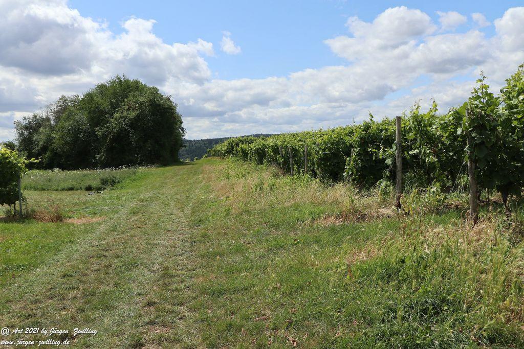 Philosophische Bildwanderung Vitaltour Hergenfelder Kuckucksweg - Hergenfeld - Rheinhessen