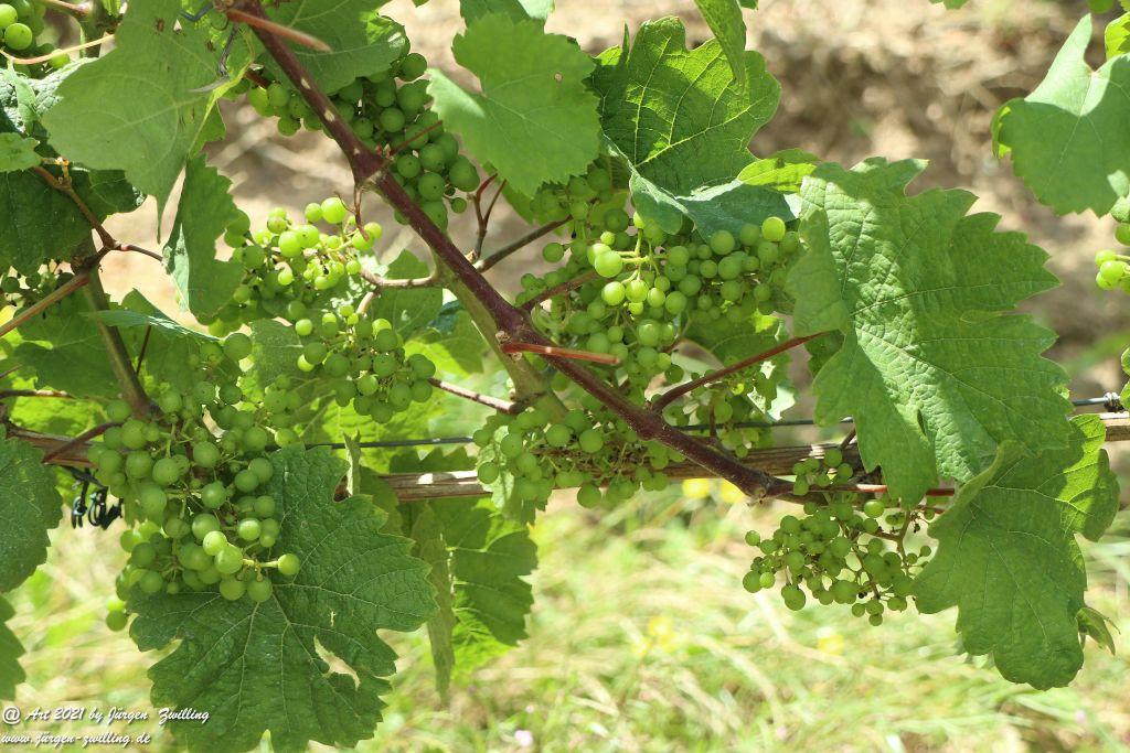 Philosophische Bildwanderung  Vitaltour Hergenfelder Kuckucksweg - Hergenfeld - Rheinhessen