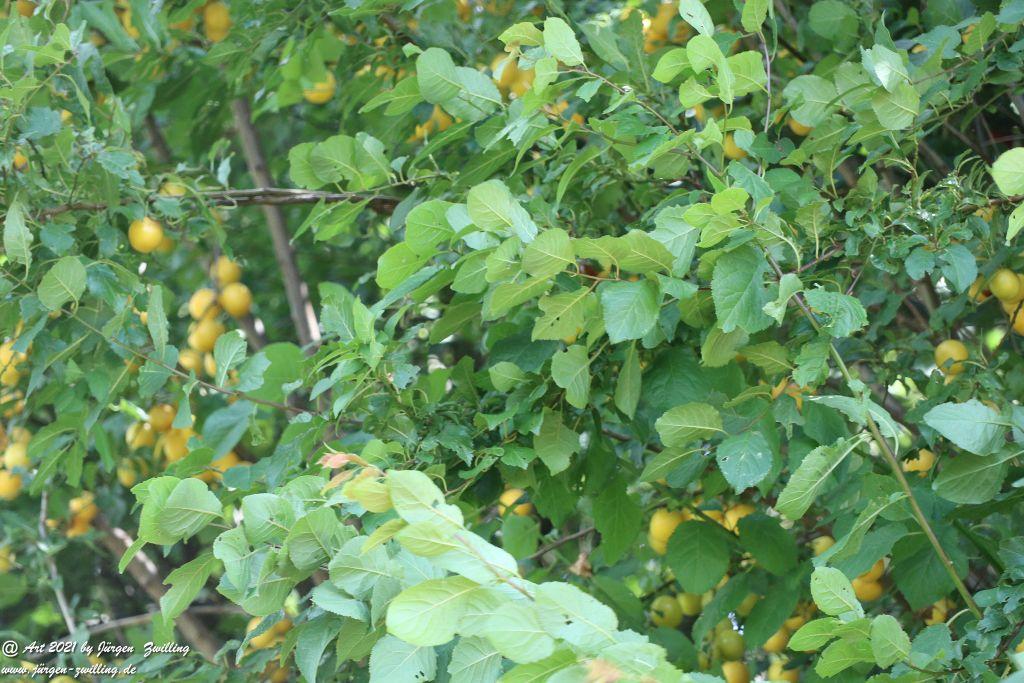 Philosophische Bildwanderung Vitaltour Hergenfelder Kuckucksweg - Hergenfeld - Rheinhessen